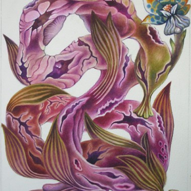 "Intestine1, 2006" 32 x 42 cm