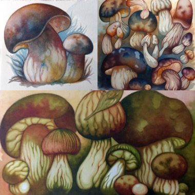 "Mushrooms, March & April 2018" Small watercolors