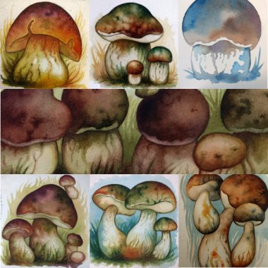 "Mushrooms, March & April 2018" Small watercolors